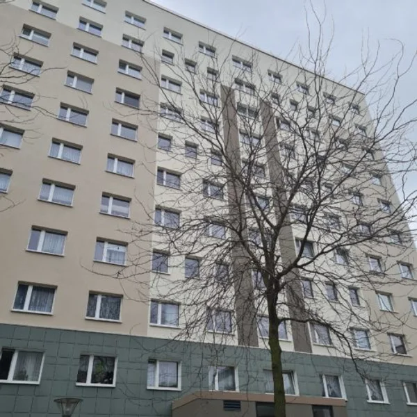 Projekt Sanierung Altes Theater in Dessau-Roßlau